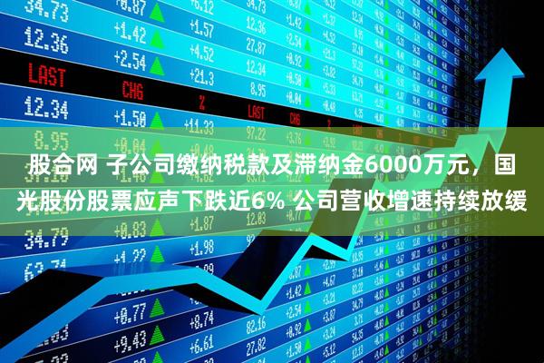 股合网 子公司缴纳税款及滞纳金6000万元，国光股份股票应声下跌近6% 公司营收增速持续放缓
