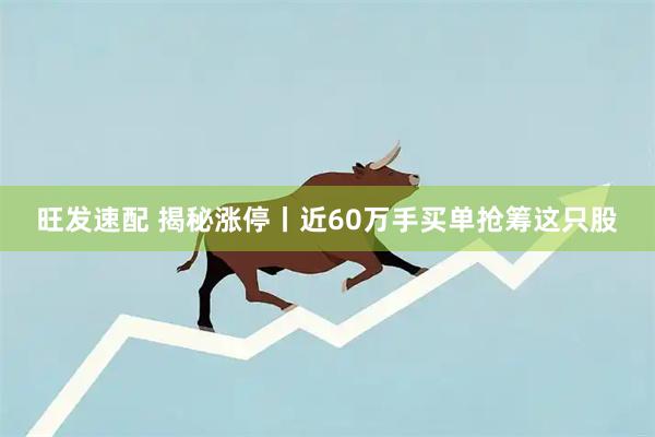旺发速配 揭秘涨停丨近60万手买单抢筹这只股